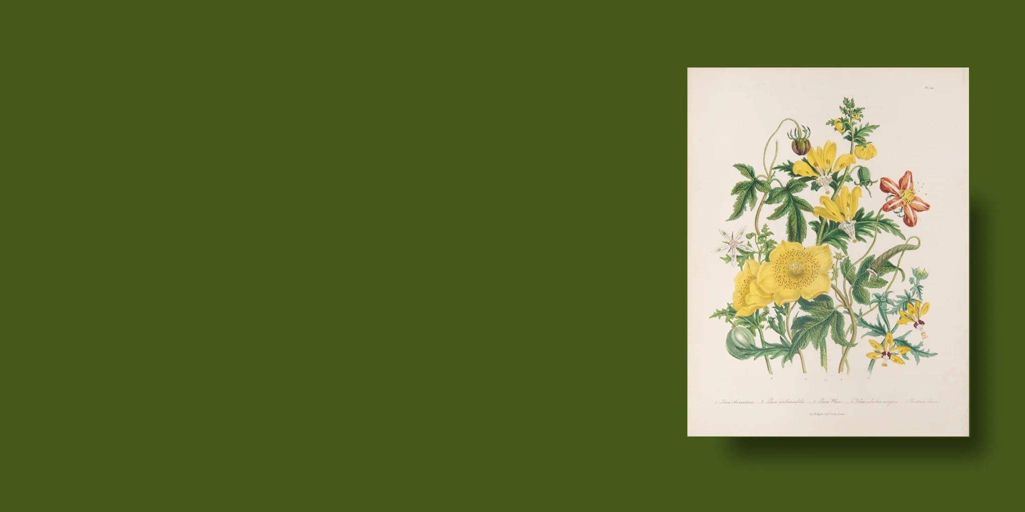 Welcome to Our Store